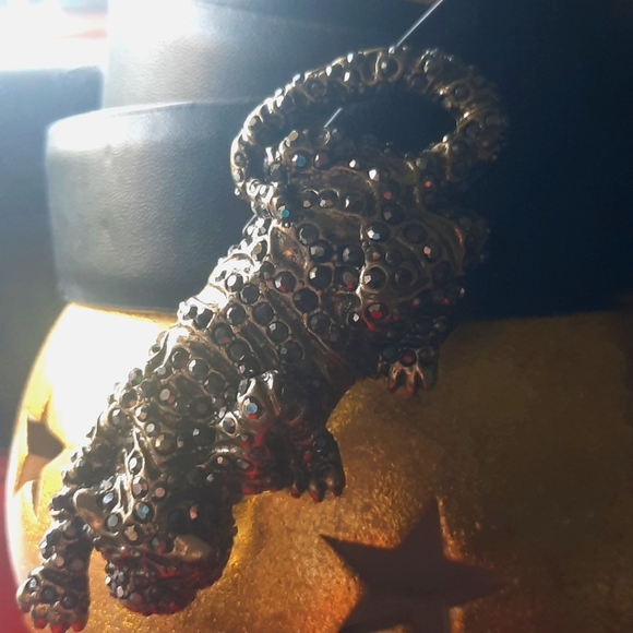 Cheetah Black Belt - Picture 3 of 11